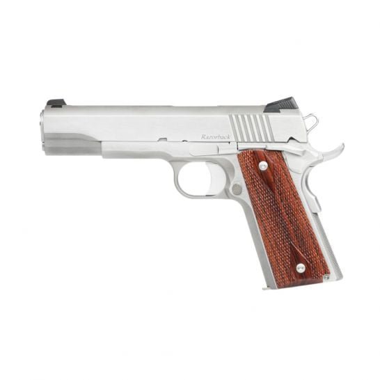 796459-Dan_Wesson_Razorback_10mm_Pistol_Stainless_01889.jpg