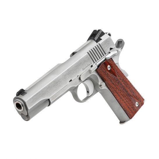 Dan Wesson Razorback 10mm Pistol, Stainless